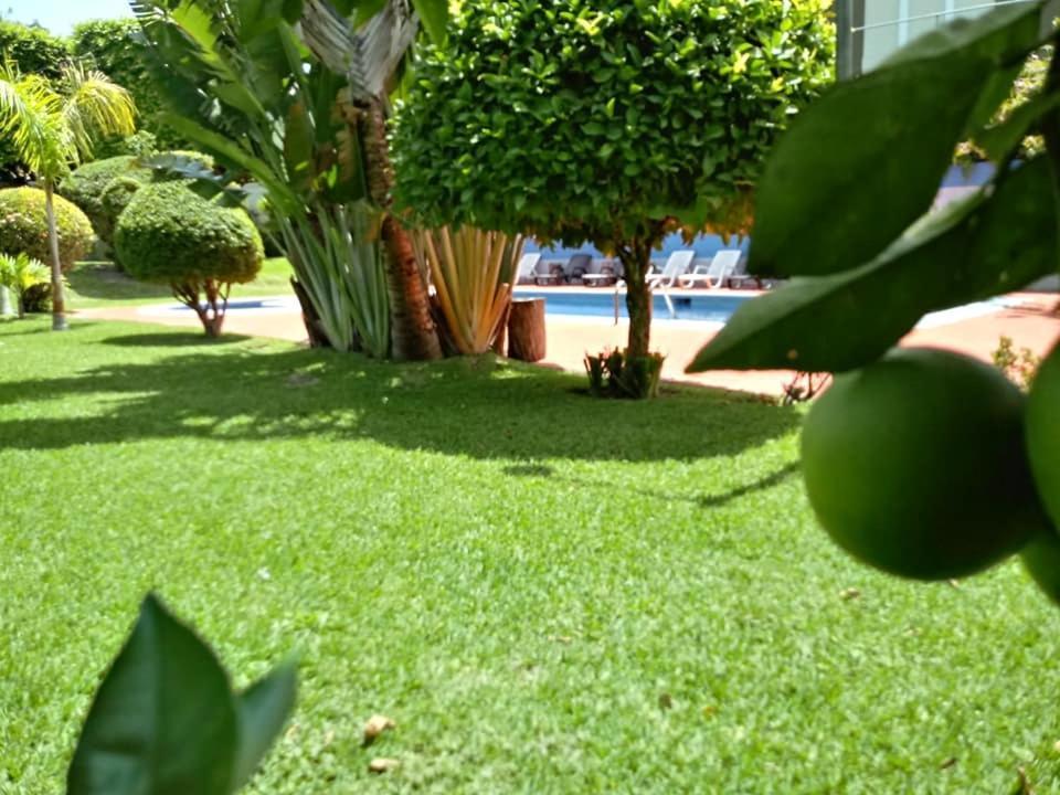Hotel Álamo Internacional San Salvador Exterior foto