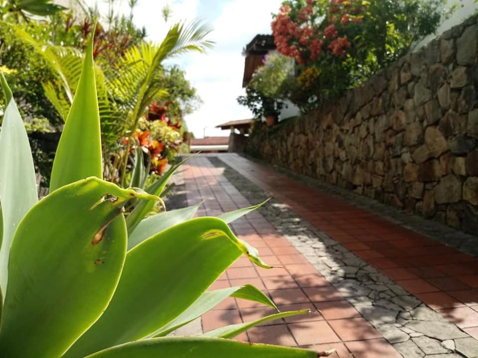 Hotel Álamo Internacional San Salvador Exterior foto
